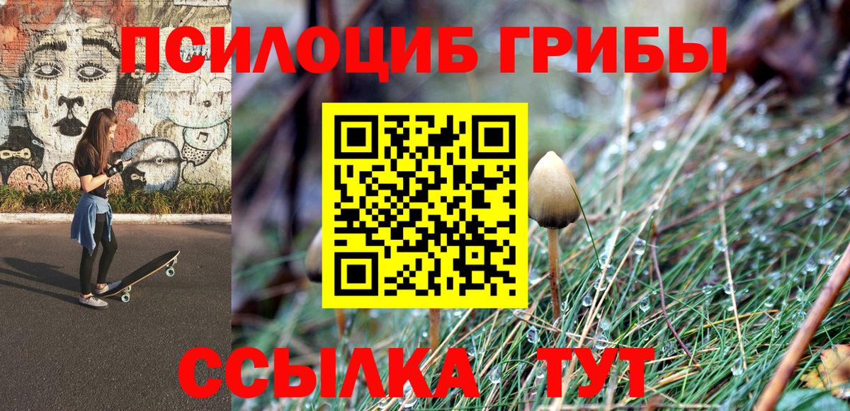 Жигулёвск  Псилоцибиновые грибы мицелий  Вход с VPN 