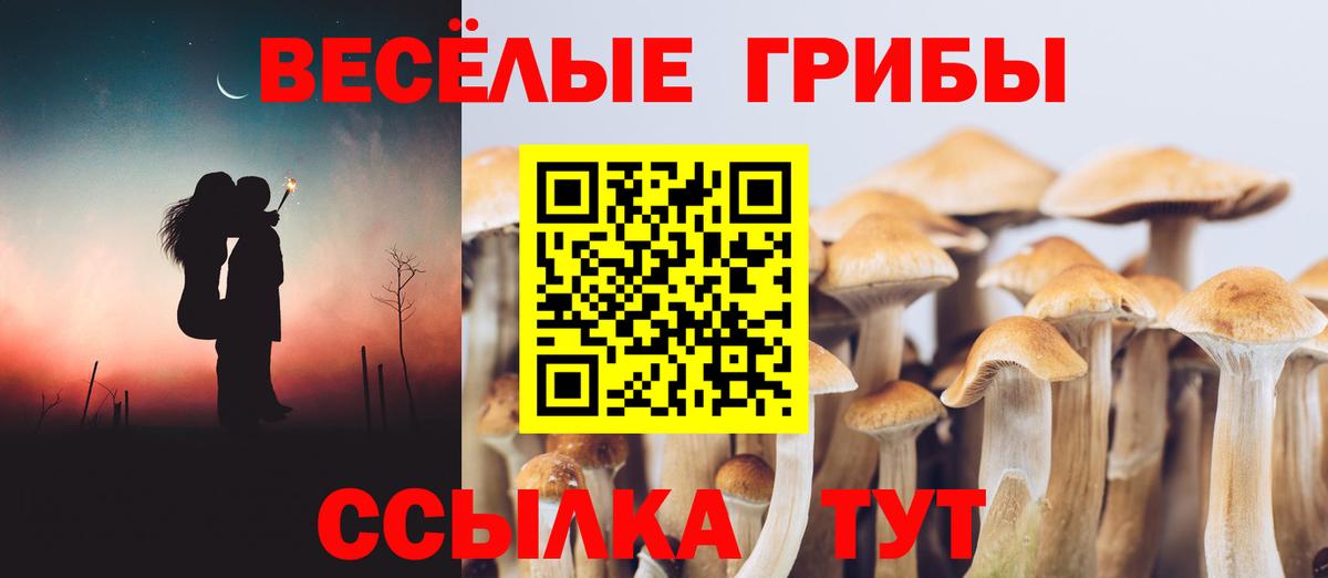 Псилоцибиновые грибы Cubensis Жигулёвск